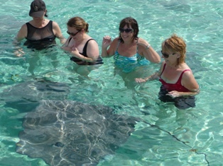 Swimming and snorkeling with the sharks and stingrays is a must do while in Tahiti!